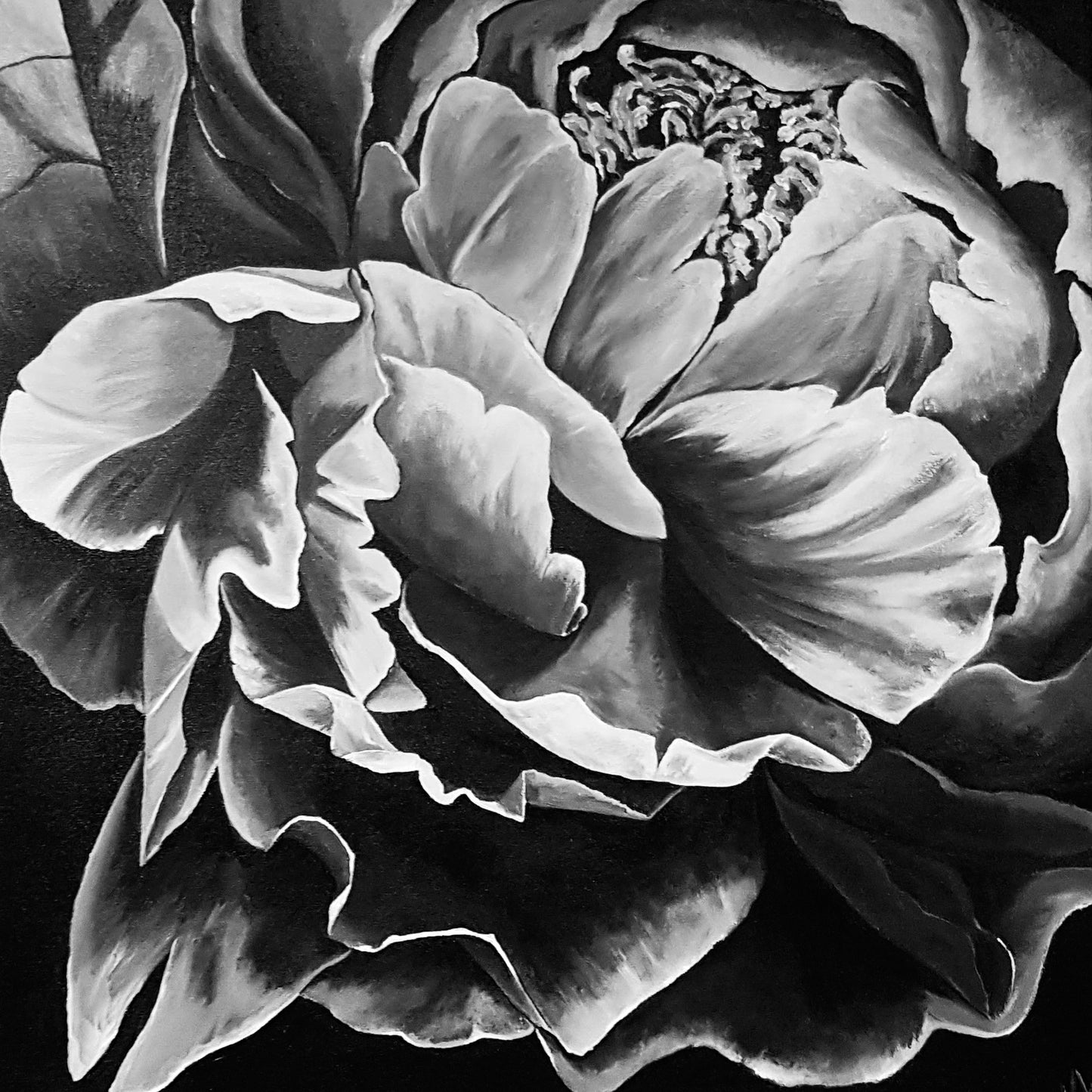 Black Peony Painting
