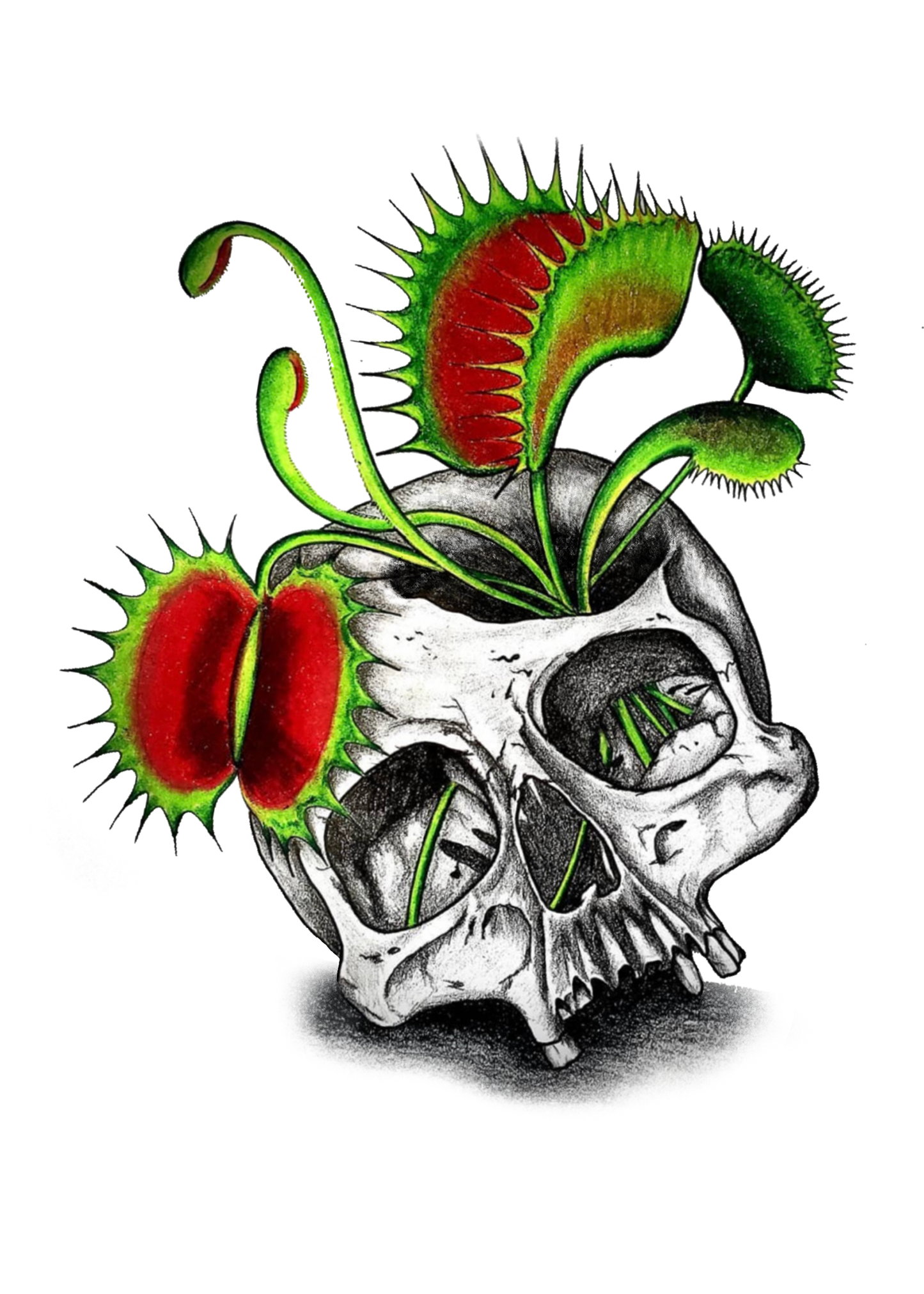 Skull & Venus Fly Trap Print