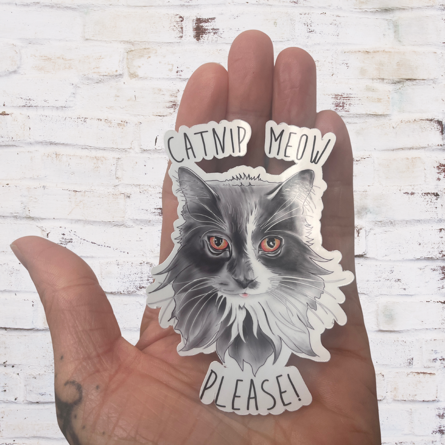 Hand holding a sticker of a cat with text 'Catnip Meow Please!' against a wooden background