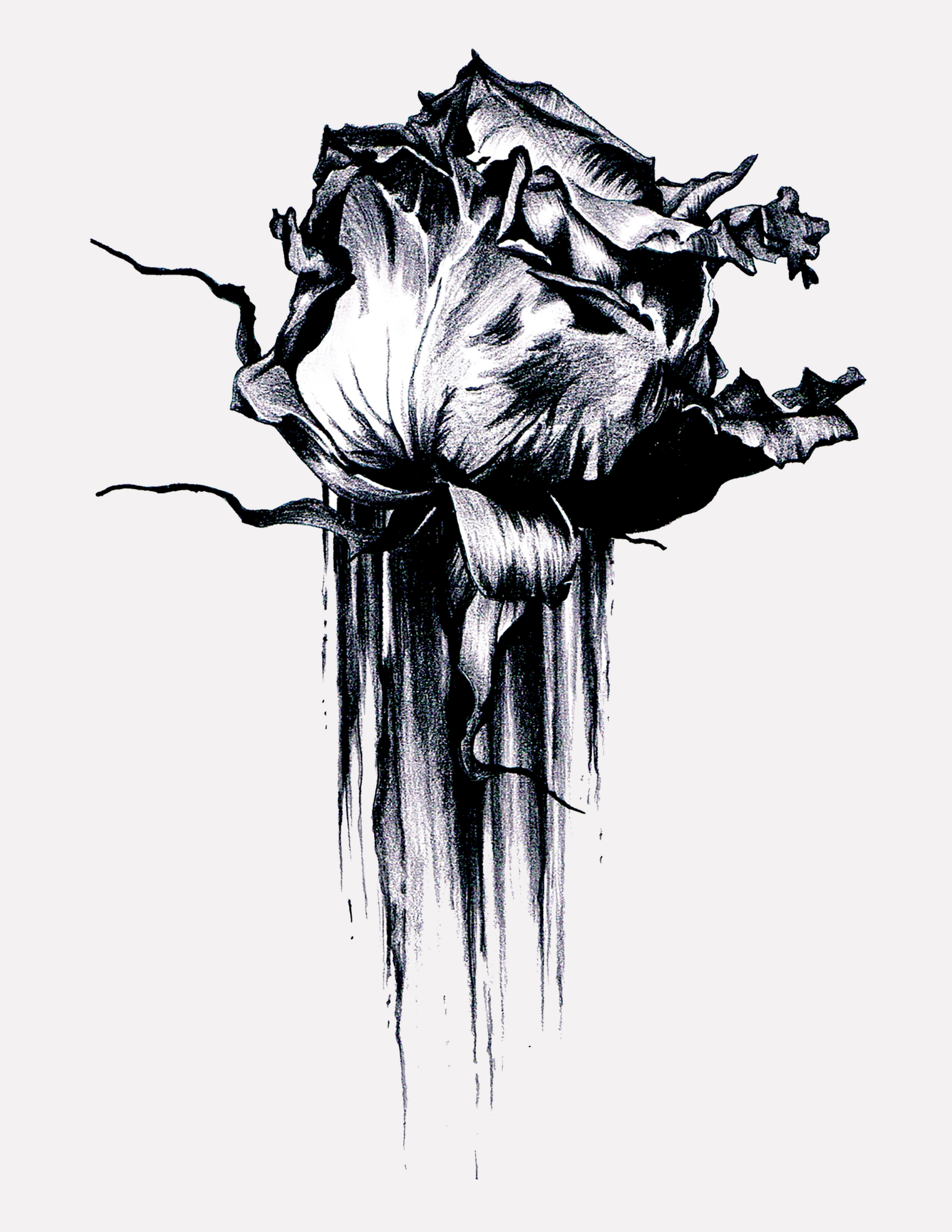 Black and white illustration of a flower on a white background