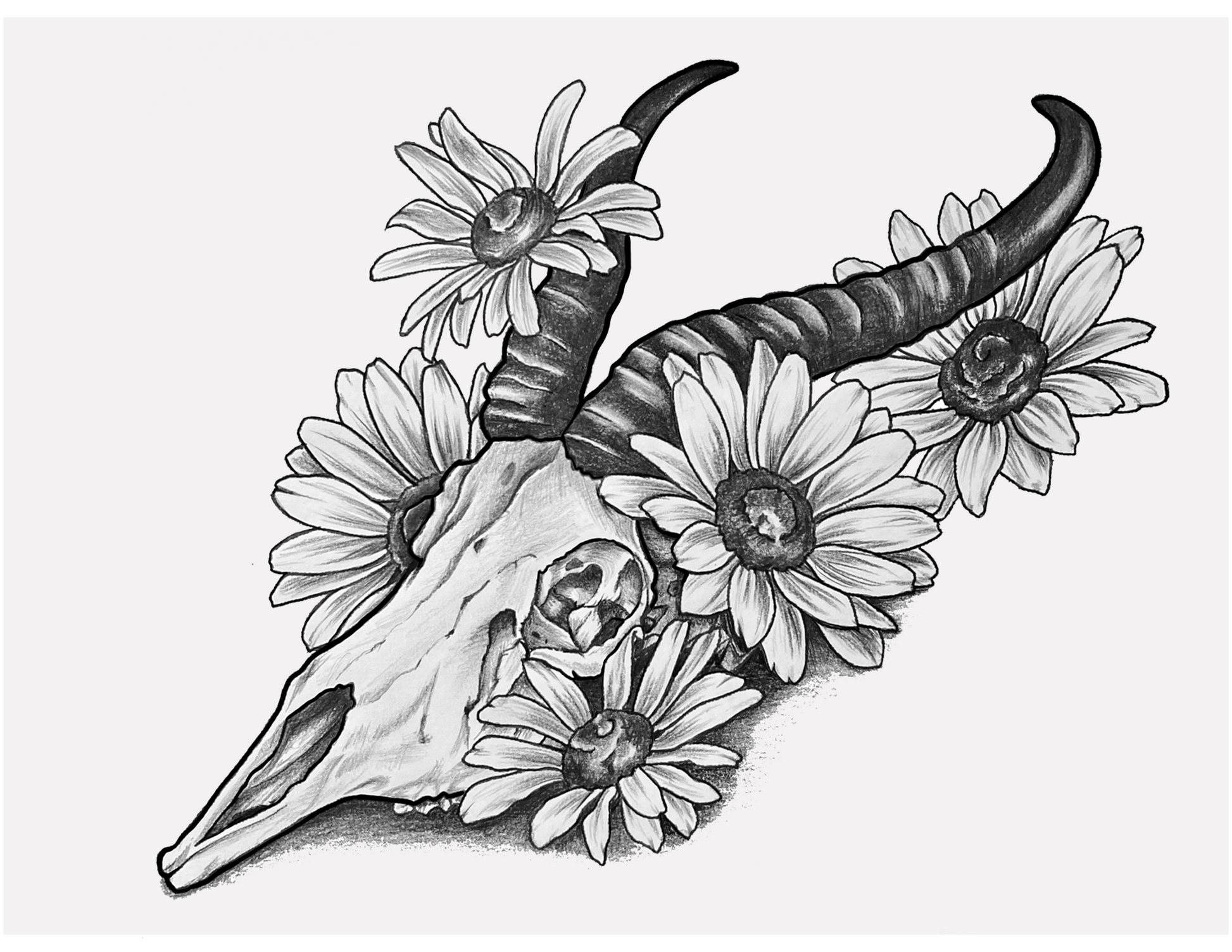 Black and white illustration of a skull with horns and flowers on a white background