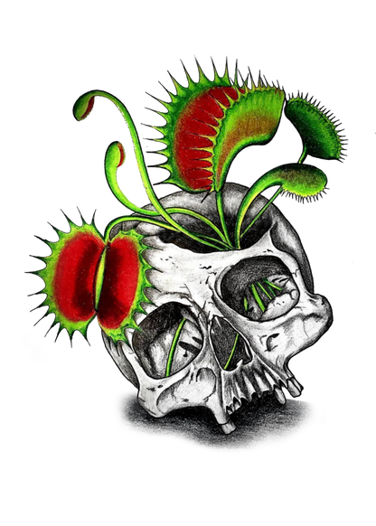 Skull & Venus Fly Trap Print