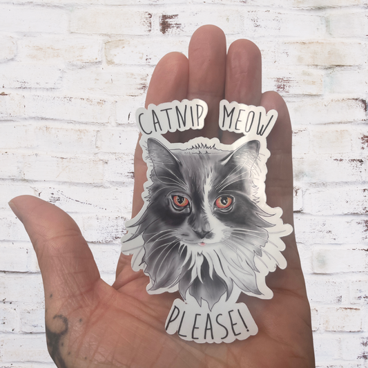 Hand holding a sticker of a cat with text 'Catnip Meow Please!' against a wooden background