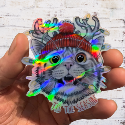 Holographic cat sticker with 'Tis the Season' text held in a hand against a wooden background